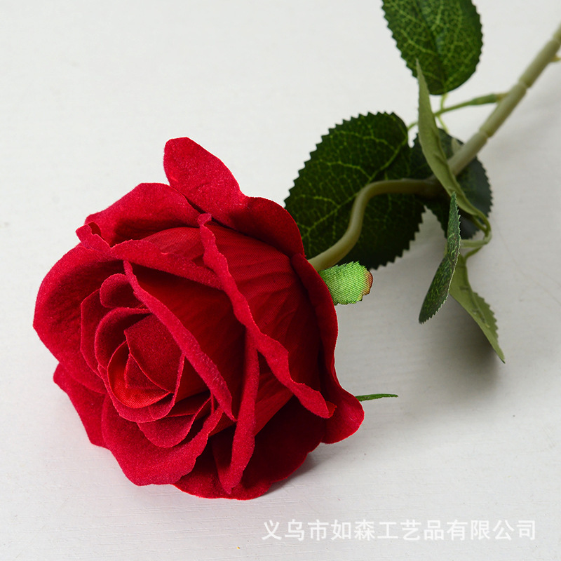 Cascade de célébrités Internet * rose de velours géante