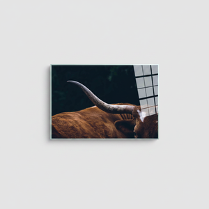 Arte de Pared Estilo Rústico: Lienzo Impreso para Decoración Rústica, ARTE EN VIDRIO TEMPLADO - Product Image 2