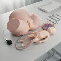 Simulador de Entrenamiento Obstétrico para Partos Difíciles, Modelo de PVC con Certificación CE ISO para Escuelas de Medicina y Obstetricia