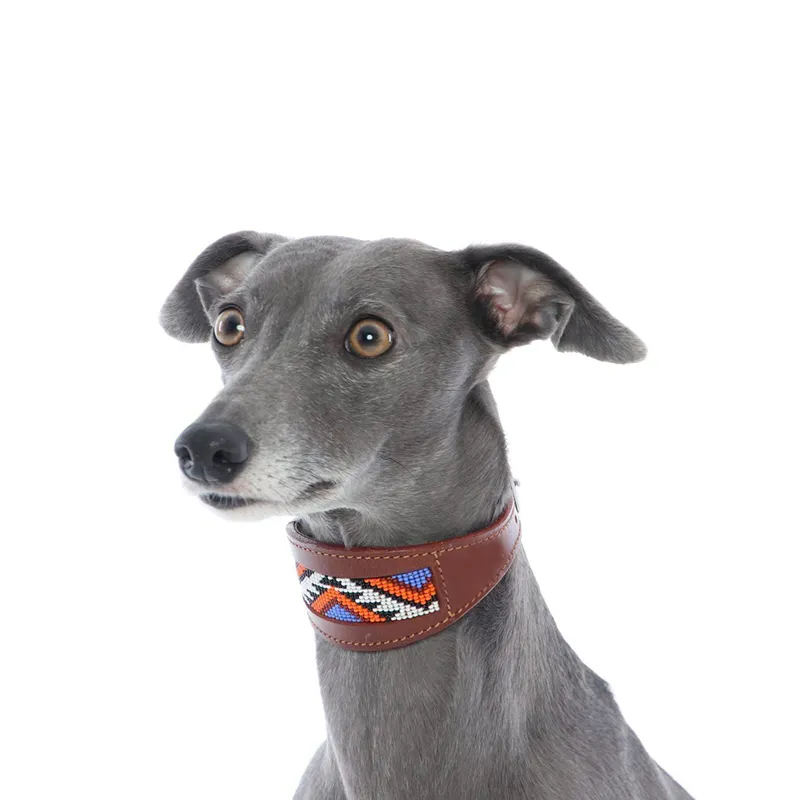 Collier en cuir pour animaux de compagnie, personnalisé, robuste, de luxe, pour chien, Martingale, perlée à la main, formation, collier en cuir de mouton