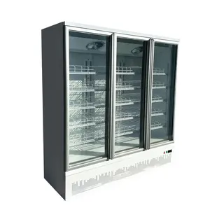 Congelador profundo congelador comercial congelador de helados vitrina congelador pantalla helado