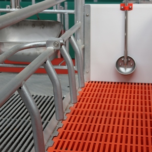 <span class=keywords><strong>Prix</strong></span> d'usine, cages <span class=keywords><strong>de</strong></span> mise bas pour truies à vendre, cages pour animaux d'élevage porcin, équipement d'élevage porcin, cage à porcs - Product Image 6