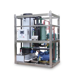 Máquina de Hacer Hielo en Tubo Delingshi de 0-5 Toneladas, Equipo Industrial de Acero Inoxidable para la Conservación de Mariscos, Frutas y Verduras - Product Image 2