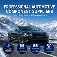 Cubiertas para Espejos Retrovisores Laterales Exteriores Izquierdo y Derecho Compatibles con Tesla Model S - OE 1010102 / 1010104