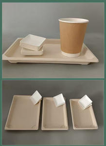 Bandejas Ecológicas Aptas para Microondas, de Pulpa de Papel, Desechables, para Café, Té, Pasteles, Postres, Sushi, Aperitivos, Barbacoa - Product Image 4