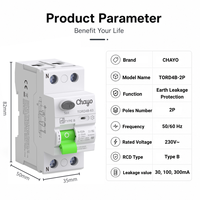 Interruptor Diferencial Residual (RCD) Tipo B de 2 Polos, 10KA, 63A, 30mA, 300mA, para Riel DIN, 10KA para Carga de Vehículos Eléctricos y Sistemas Solares, CB/CE Chayo