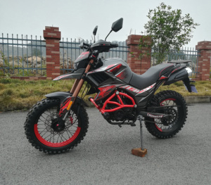 FUEGO <strong>TEKKEN</strong> 250 Cheap for Sale <strong>250cc</strong> All Terrain <strong>Motorcycle</strong> 11190143 - Product Image 3