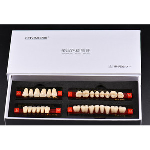 Prix Usine directe Résine Dents <span class=keywords><strong>Dentiers</strong></span> - Product Image 3