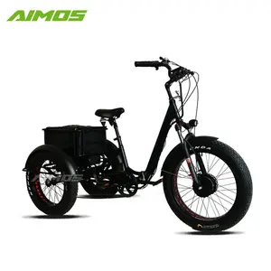 3 Wheel Electric Bicycle Cargo Front Motor Moped Off Road Tricycle