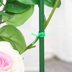 Plantation en plastique jardin fleur <span class=keywords><strong>plante</strong></span> escalade rotin ligne ceinture reliure vigne câble torsion fixe cravate - Product Image 4