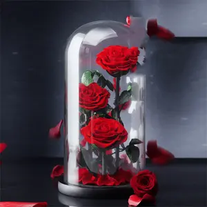 Активная вечная роза, три предмета, сохраненная Роза в стеклянном куполе, подарок на день Святого Валентина