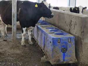 <span class=keywords><strong>Abbeveratoio</strong></span> per Mucche e Cavalli con Sfere Galleggianti, Abbeveratoi per Stalle di Lunga Durata con Sistema di Riscaldamento - Product Image 5