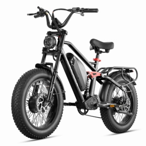 Nuevo Diseño Eahora Terra 2 48v 1000w Bicicleta Eléctrica de Doble Motor con Llantas Anchas, Híbrida para Carretera y Ciudad, de Largo Alcance - Product Image 1