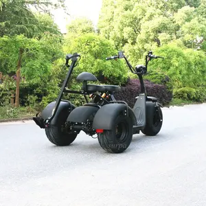 1000w 60v12ah/20ah 2 removable battery three wheel fatboy golf scooter/2000w golf scooter