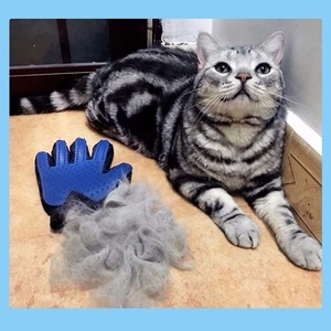 Xuyên biên giới Silicone Cat găng tay cho vẻ đẹp làm sạch và massage Pet grooming nguồn cung cấp với Dog Hair Removal chức năng - Product Image 4