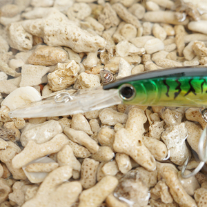 <span class=keywords><strong>Esca</strong></span> <span class=keywords><strong>Artificiale</strong></span> Deep Diver Minnow in ABS 170mm 25g, <span class=keywords><strong>Esca</strong></span> Dura per Lanci Lunghi, per Acqua Salata e Dolce, Pesca in Fiume e Mare, per <span class=keywords><strong>Spigola</strong></span> - Product Image 2