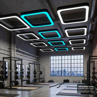 Luminaire Suspendu Linéaire LED Modulaire Connectable en Gros, Cadre Rectangulaire, Éclairage Linéaire Suspendu pour Bureaux Commerciaux et Salles de Sport