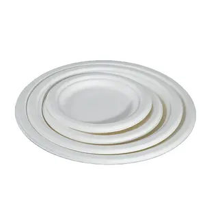 Biodegradable Disposable Plates Biodegradable Eco-friendly Plate Disposable Paper Tableware Sugarcane Bagasse Square Tray