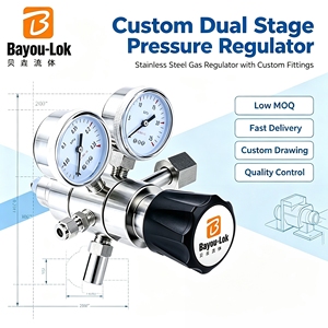 Regulador de Alta Presión de CO2 de 2 Etapas, Entrada 4000 psi, Salida 300 psi, Conector de Entrada CGA580, Industrial, 0-100 Bar, -23~+74 Grados - Product Image 5