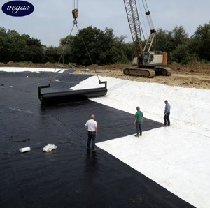 ASTM HP-OIT Geomembrane High Pressure Oxidation Induction <strong>Time</strong> <strong>Long</strong>-Term Durability 1.5mm 2.0mm Critical Infrastructure <strong>Liners</strong> - Product Image 4