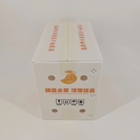 Boîte creuse en PP de 3 mm d'épaisseur, résistante aux chocs, écologique, imperméable, avec logo personnalisé, de qualité alimentaire, pour l'exportation de mangues