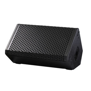 Haut-parleur de monitoring professionnel SA12 12 pouces passif 500W RMS 1000W de crête avec aimant néodyme pour salle de concert - Product Image 1