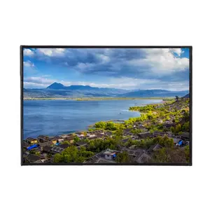 Sharp LQ101R1SX03 10.1 Inch 2K Ips Outdoor Lcd Display Module 2560*1600 Mipi Interface Met H-DMI Om mipi Board