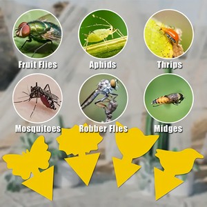 Trampa Adhesiva Resistente al Agua con Forma de Sol y Logotipo Personalizado para Plantas de Cítricos en Maceta - Product Image 4