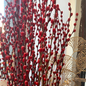 2024 Natural <span class=keywords><strong>Salix</strong></span> plata sauce flores secas plantas coño sauce para el hogar Año Nuevo decoración <span class=keywords><strong>flor</strong></span> - Product Image 5