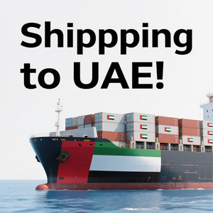 El mejor agente de envío de China a los Emiratos Árabes Unidos Servicio puerta a puerta Carga marítima Logística internacional - Product Image 2