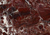 Rosso Levanto