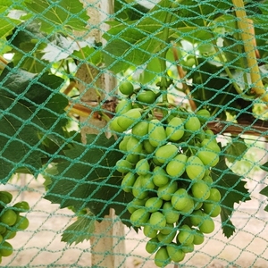 Filet anti-oiseaux en HDPE tricoté, pare-soleil agricole Raschel, anti-insectes, économique pour jardin - Product Image 5