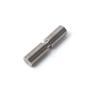 Charnière de Porte Cylindrique en Acier Inoxydable Robuste au Design Moderne, Type Ciel et Terre, pour Meubles de Salon - Product Image 3