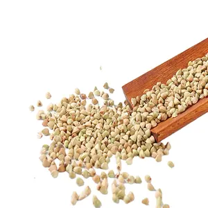 Sichuan direct manufacturer supplier buckwheat tea wholesale roasted reliable edible grains fresh and organic buckwheat tea
