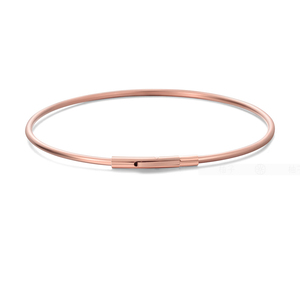 BINSHUO all'ingrosso gioielli personalizzati in acciaio inossidabile placcato oro titanio acciaio apertura filo apribile bracciali elastici con fibbia - Product Image 4