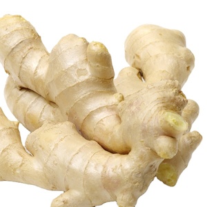 Mùa giải mới tươi gừng xuất khẩu chất lượng cao tươi voi gừng từ Trung Quốc gừng nhà máy - Product Image 1