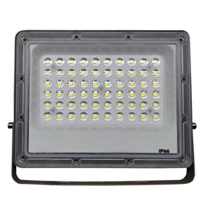 Projecteur LED de la série Ant Generation, corps en aluminium IP67, pour utilisation en jardin, variantes 10W/20W/30W/50W/100W/150W - Product Image 1