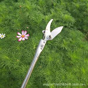 กรรไกรตัดแต่งกิ่งไม้สแตนเลส Mountain Wisteria แบบด้ามยาว 1 2 2.5 3 เมตร รูปทรงปากผีเสื้อ สำหรับตัดแต่งกิ่งสูง - Product Image 3