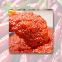 Vente en gros d'usine de sauce chili rouge pure Pâte d'assaisonnement de soja de chef chinois dans divers emballages Sac de bouteille Sachet tambour en vrac