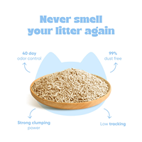Litière pour chat en tofu 100% naturelle à base de fibres végétales, agglomérante rapide, sans poussière, jetable dans les toilettes, vente en gros usine