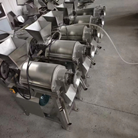 Hoge-efficiëntie commerciële groente- en fruitpers voor notenverwerking voor fruitverwerkingsbedrijven - Hoogspanning 220V/380V 1,5/2,2KW