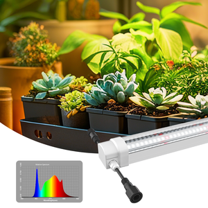 Luz LED Quadrada para Cultivo de Plantas, Tomate, Morango e Vegetais, à Prova d'Água, Espectro Completo para Agricultura Vertical e Estufas - Product Image 4