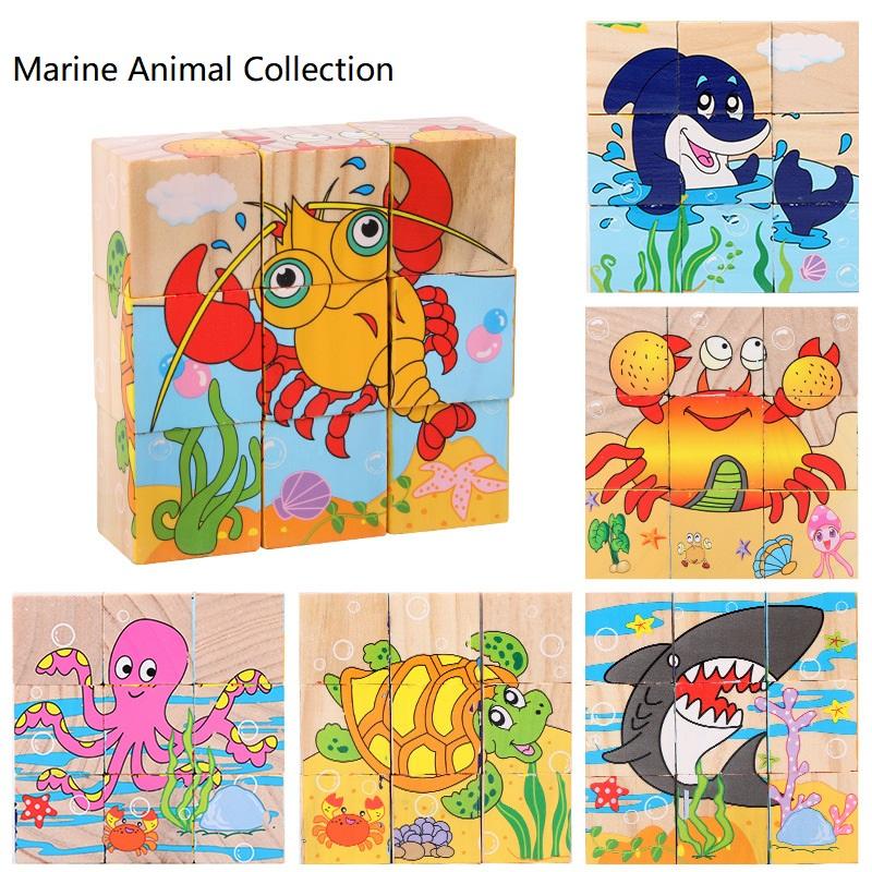 ภาพวาดหกด้านของมหาสมุทร