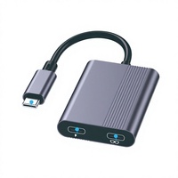 Adaptateur Convertisseur Hub Console de Jeu 1-vers-2 pour Lunettes Intelligentes VR/AR, Interface Type-C 4K, 10 Ports