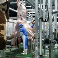 Línea Industrial de Sacrificio de Ganado, Máquina de Sacrificio Halal de Acero Inoxidable 304 para Mataderos