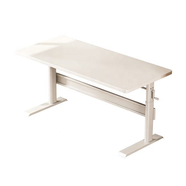 Modern Height Adjust Stand Desk Ergonomic Student Study Table