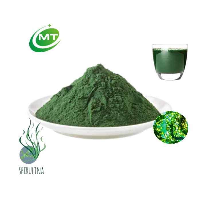 Spirulina Protein Factory Bulk Order Natural
