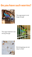 Cage à oiseaux compacte, petite cage en fil métallique pour perruche, canari, pinson, habitat d'intérieur sur bureau avec boîte à nourriture