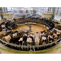 Machine à traire rotative Cow-Centric en PP : Nouvelle conception anti-stress et manipulation douce pour maximiser le rendement quotidien et la santé du bétail