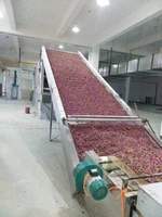 Volautomatische Droogapparatuur Voor Groenten En Fruit, Doorlopende Gaasbanddrogers